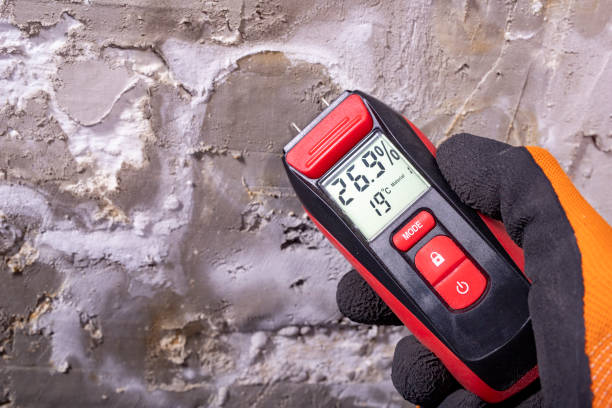 Best Residential Mold Removal  in Indian Harbour Beach, FL